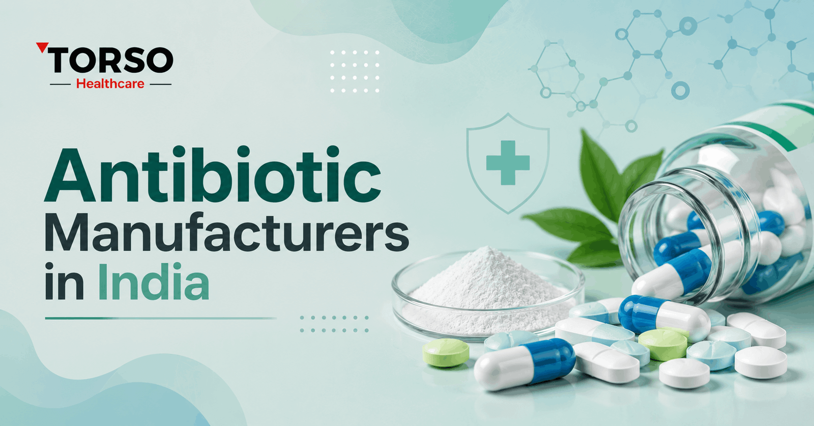 Antibiotic Manufacturers